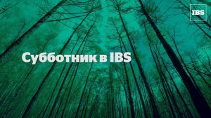 Субботник в IBS