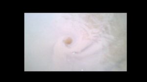 Водоворот
