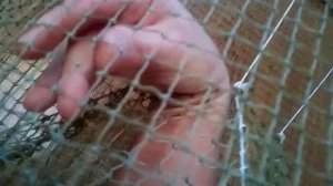 заход в раколовку дорожка