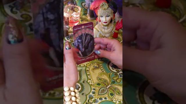 СРОЧНО! СОВЕТ! ЧТО ЖЕ ДЕЛАТЬ ДАЛЬШЕ?#счастьевнассамих #ястройняшка #якоролева #ямилашка смотреть онлайн