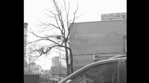 Awkwafina   NYC Bitche$