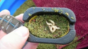 Что такое флэт и почему эта снасть ловит практически всегда?