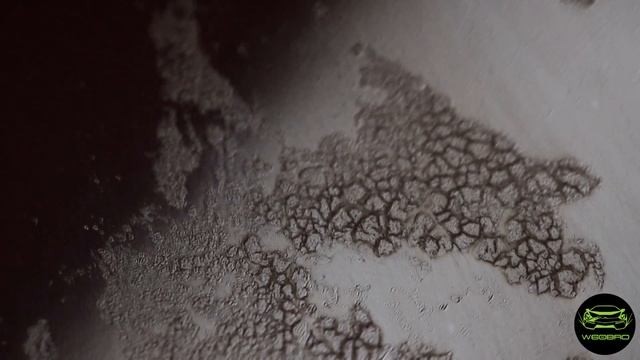 Птичий помет - АД для ЛКП автомобиля. Макро. смотреть онлайн