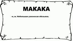 МАКАКА - что это такое? значение и описание