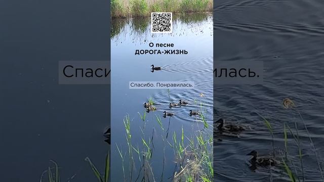 Очень добрая музыка, авторская песня. г. Новосибирск. #сказочныймир #милоеотечество #дорогажизнь