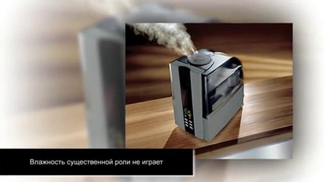 ХЛОРОФИТУМ – самое неприхотливое комнатное растение