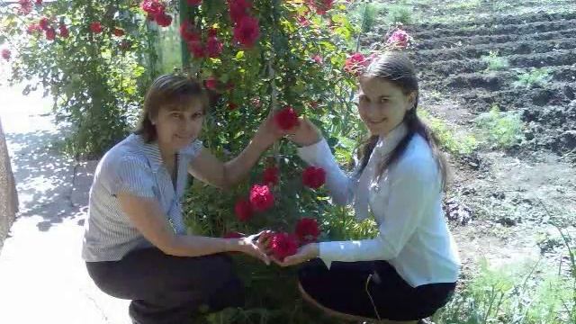 С днем рождения, любимая тётя :) смотреть онлайн