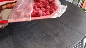 МАЛИНА на зиму.Как правильно заморозить МАЛИНУ.