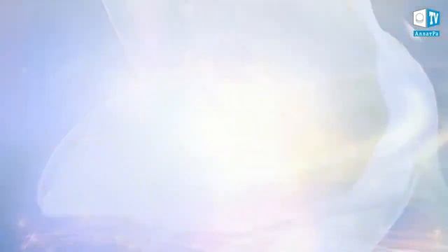 ПРЕДСКАЗАНИЕ смотреть онлайн