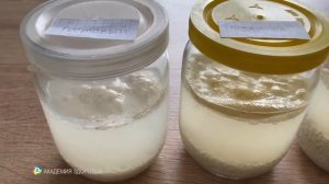 40 дней мы проверяли влияние на воду молитв и разных слов