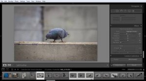 How to Edit Multiple Photos using Sync in Adobe Lightroom Photoshop Tutorial