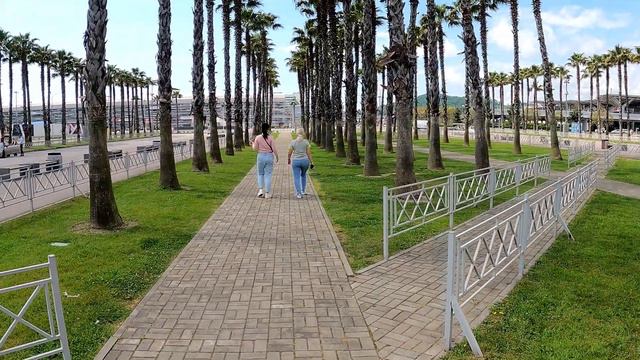 Пальмы и солнце в,Сочи смотреть онлайн