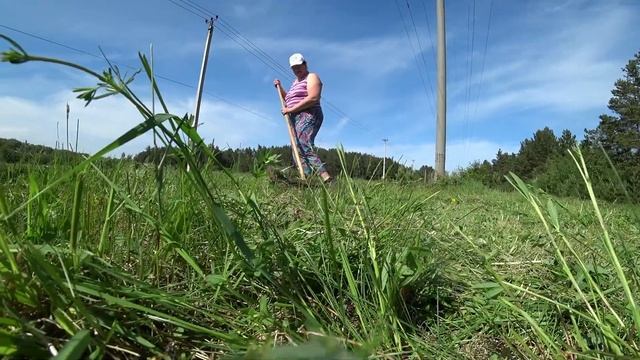 В поисках травы... смотреть онлайн