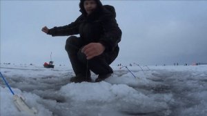 Корюшка под Сестрорецком!Финский залив!