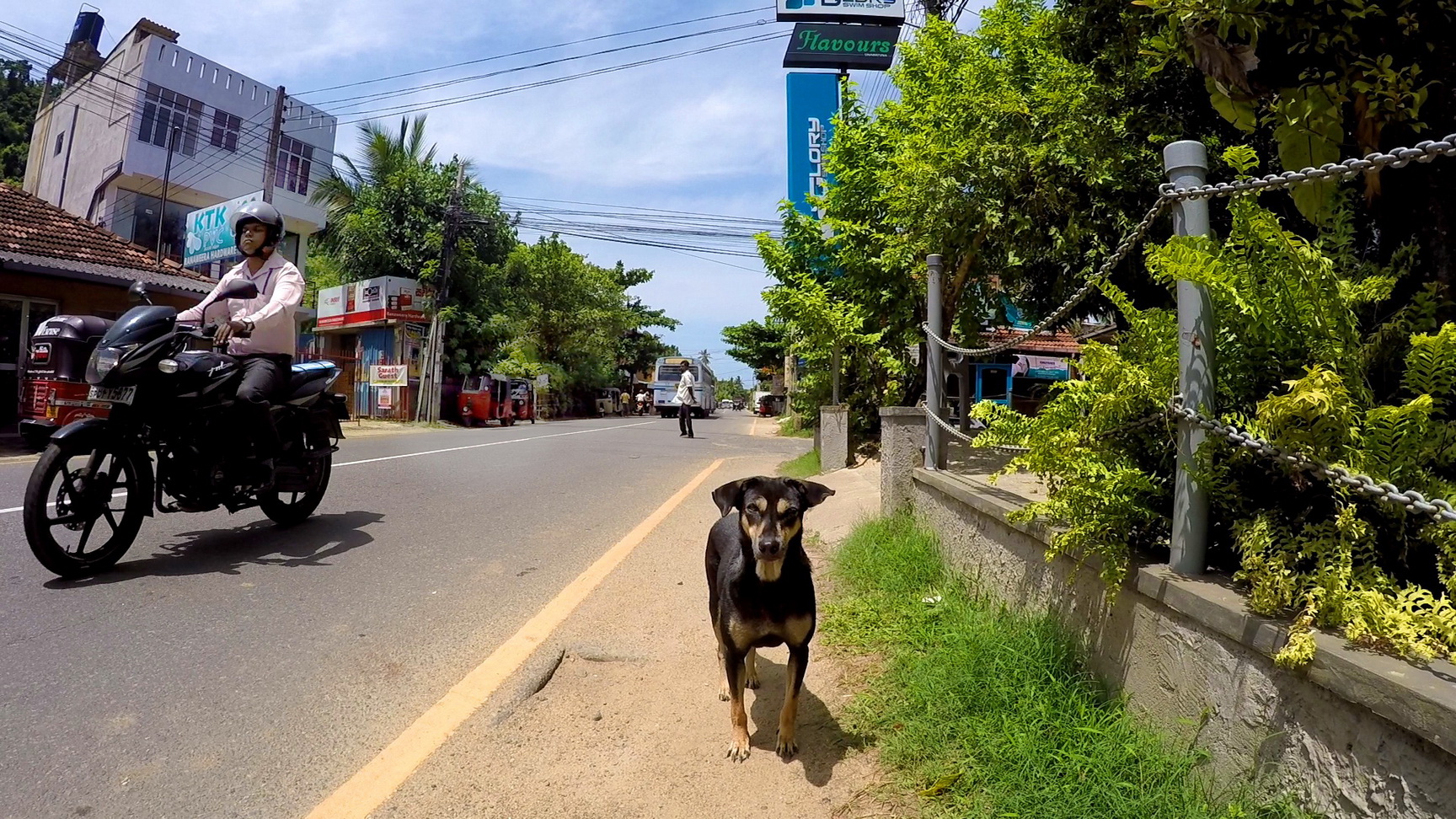 Welle Dewalaya Road, Unawatuna смотреть онлайн