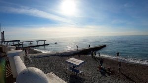 Зимний Сочи. Путешествие из зимы в лето. Шикарный дендрарий. #Сочицентр #Чёрное_море #Путешествия