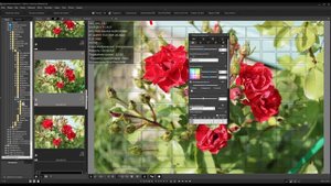 Digital Photo Profession обработка RAW изображений с фотоаппарата Canon