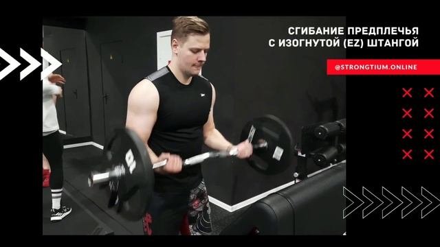 Техника сгибания предплечья со штангой на бицепс. Прямая и изогнутая штанга