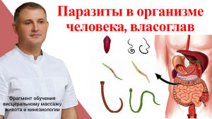 Паразиты в организме человека, власоглав. Лечение и профилактика