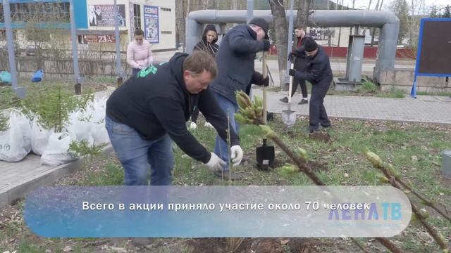 Посади дерево - спаси планете жизнь. смотреть онлайн