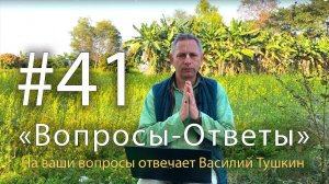 "Вопросы-Ответы", Выпуск #41 - Василий Тушкин отвечает на ваши вопросы