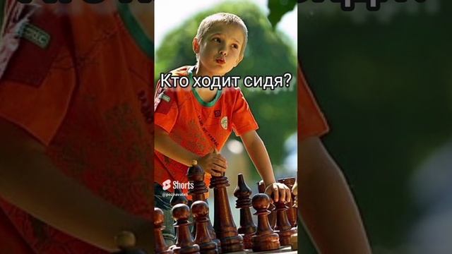 Кто ходит сидя?
