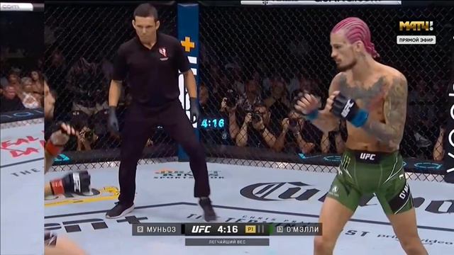 UFC 276: Шон О’Мэлли - Педро Муньоз Полный Бой!
