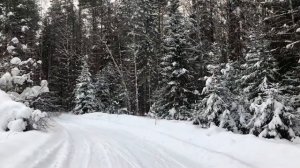 В погоне за зверем, поиски глухаря и кабана