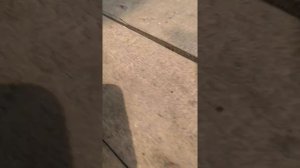 Замена подушки двигателя NISSAN MARCH K 11 2001 ГОДА