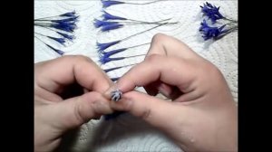 М.К.  Василёк из холодного фарфора. Автор МК - Татьяна Несина.