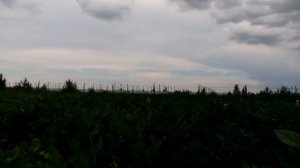 Разгон туч специальной пушкой