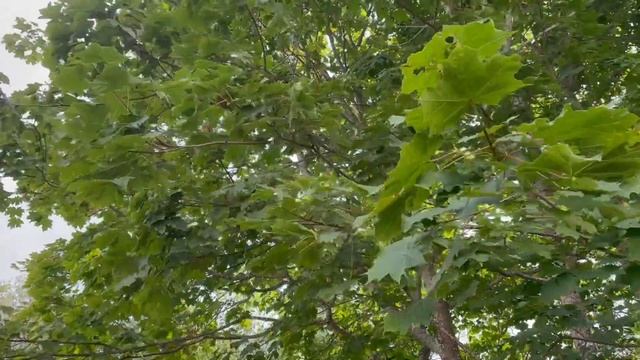 Озеро Валдай и Иверский Валдайский Богородицкий Святоозерский мужской монастырь
