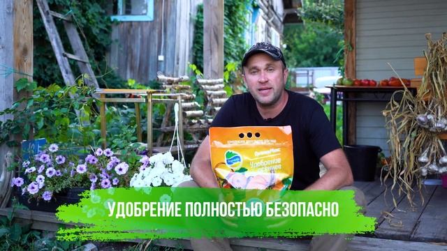 7 правил ухода за огородом осенью. Как готовиться к зиме?