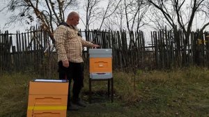 СБОР УЛЬЯ НА ЗИМУ