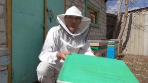 В шоке от осыпи клеща тестирую китайский спрей от клеща.