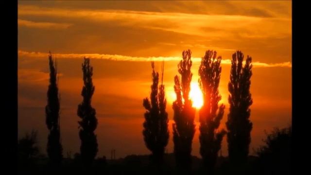Тополя тополя в город мой влюбленные На пути деревца деревца зеленые