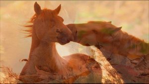 ОСЕННИЙ САКСОФОН...