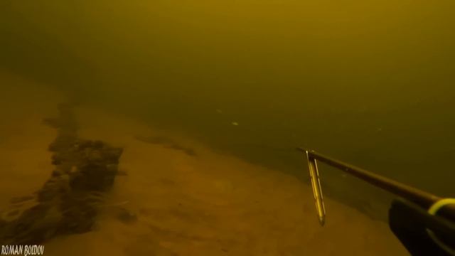 Подводная Охота " ВСЯ РЫБА С ВОЛГИ ЗДЕСЬ " Большие Щуки, Сазан, Судак, Сом, Голавль, Язь, Лещ, Окун смотреть онлайн