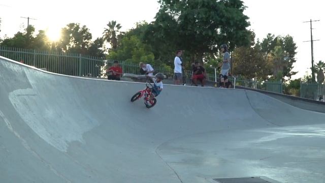 Fitbikeco. 2018 MISFIT 12 & 16 COMPLETE Bike смотреть онлайн