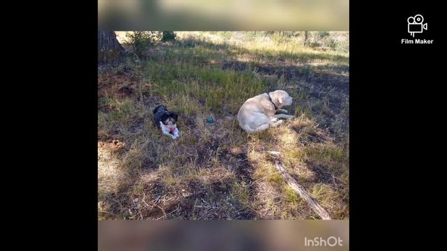 Southwest Colorado red rock overland camping!! Toyota Tundra Hybrid flatbed смотреть онлайн