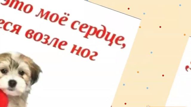 День благодарности собаке, как другу