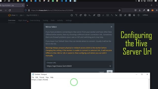 How to Fix Connection to API server failed on HiveOS