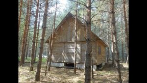 Охотничий домик в лесу вблизи озера