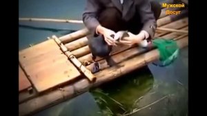 Рыбалка с бакланами. Китай.