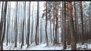 Заговор отвадить от дома нежеланных гостей.mp4