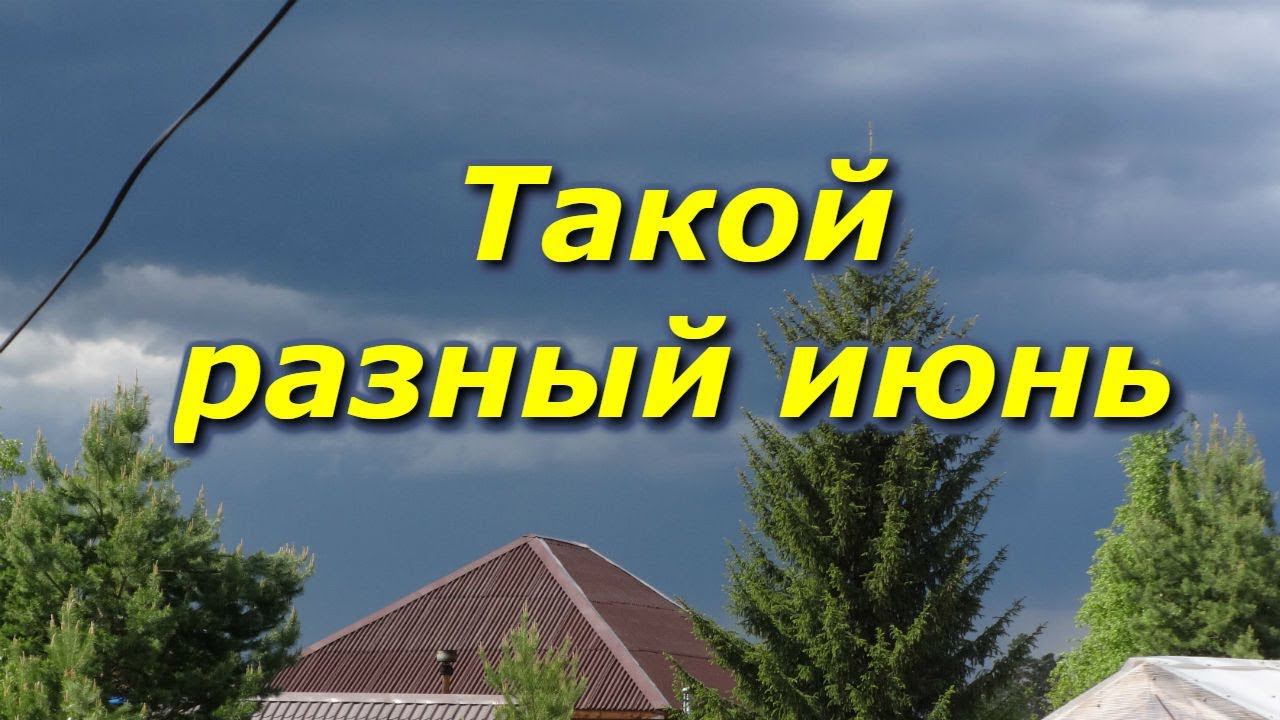 Такой разный июнь
