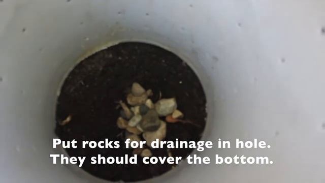 DIY Dog Poop Composter смотреть онлайн