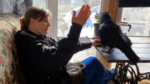 История говорящего ворона Карлуши из кино-зоостудии "Ковчег"