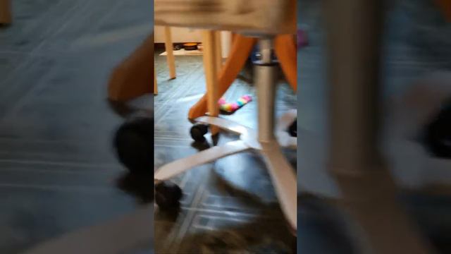 Мой кот и его приятные будни. Коты, и как они проводят своё время. Интересный мир смотреть онлайн