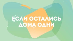 Дома остался один